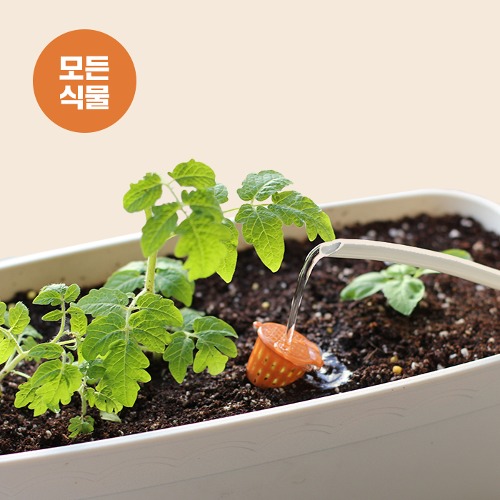 꼬마 원예 식물 비료 영양제 6g 2입 이미지 7
