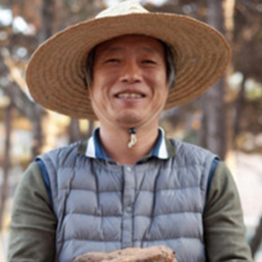 건강즙 변비에좋은즙 머위진액 액기스뿌리효소효능 50팩 이미지 8