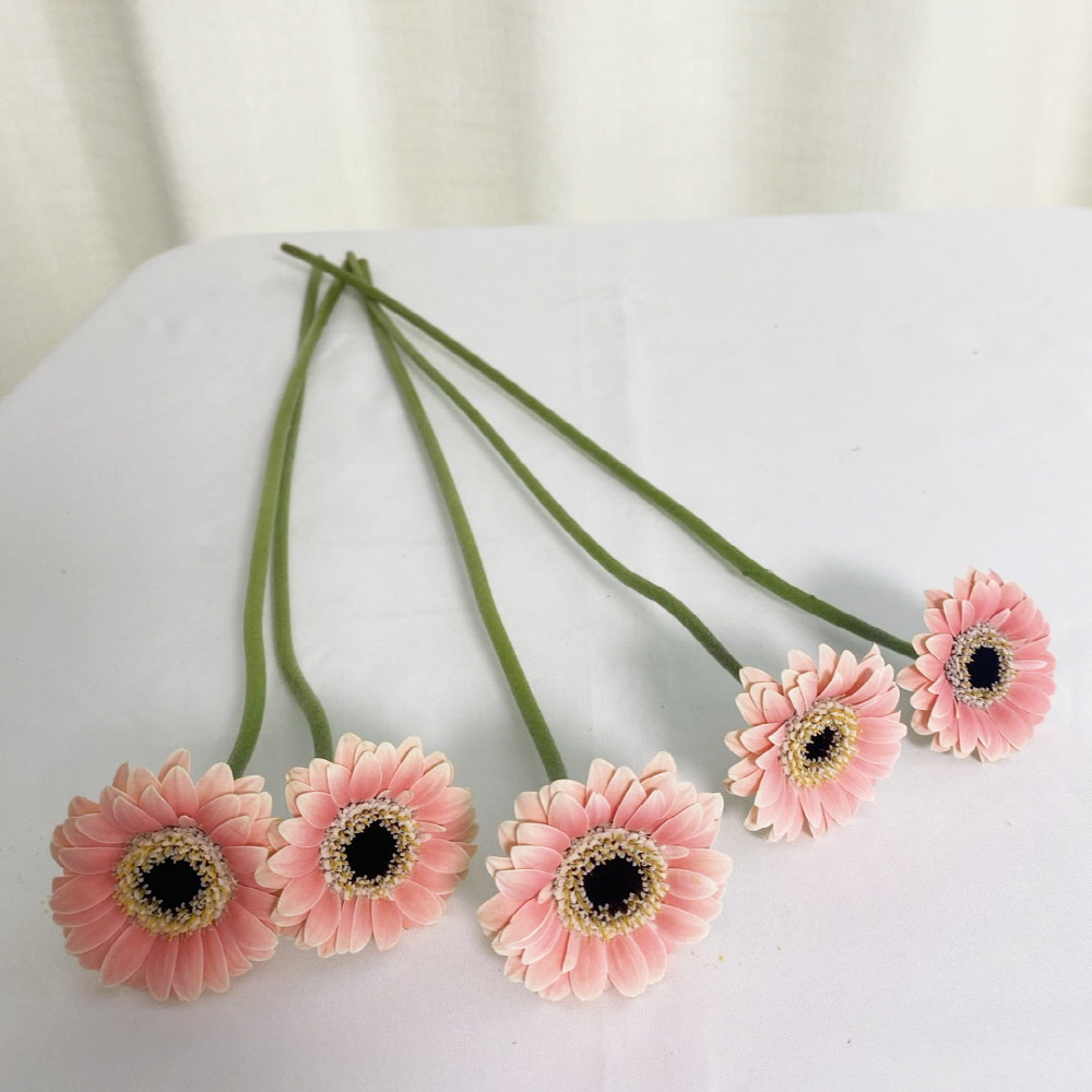 미니거베라 피콜리니 5송이 생화 택배 꽃배달 싼곳 이미지 8