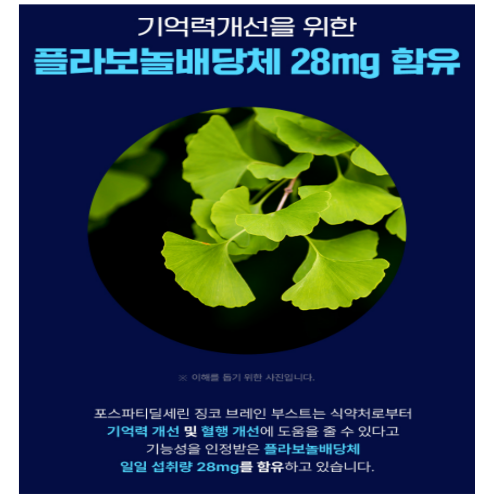 포스파티딜세린 징코 브레인 두뇌 은행잎추출물 뇌건강 PS - 상세 이미지 5