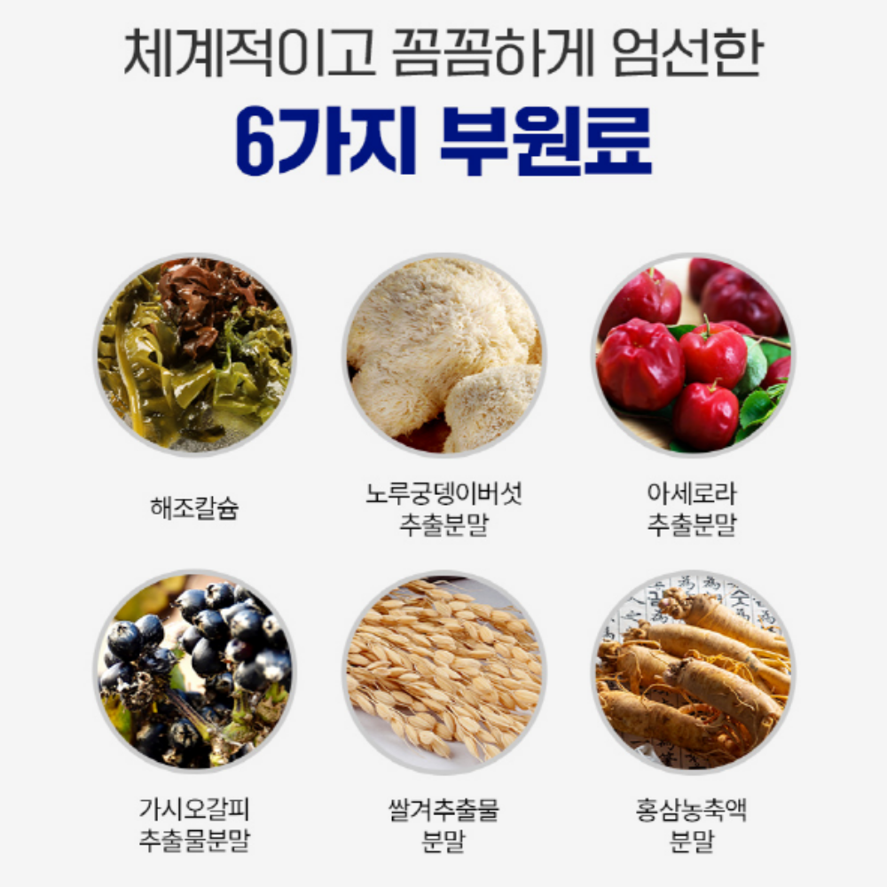 포스파티딜세린 징코 브레인 두뇌 은행잎추출물 뇌건강 PS 이미지 8