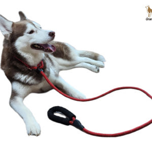 강아지리드줄 애견 대형견 산책줄 일체형 리드줄 목줄 1.5m 솔직 후기 | 실제 사용자 리뷰 총정리 - 상품 이미지 1