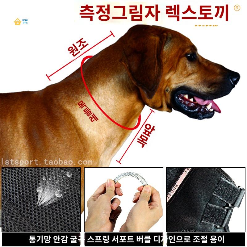 애견 목보호 보조기 수술 강아지경추보호대 - 상세 이미지 3