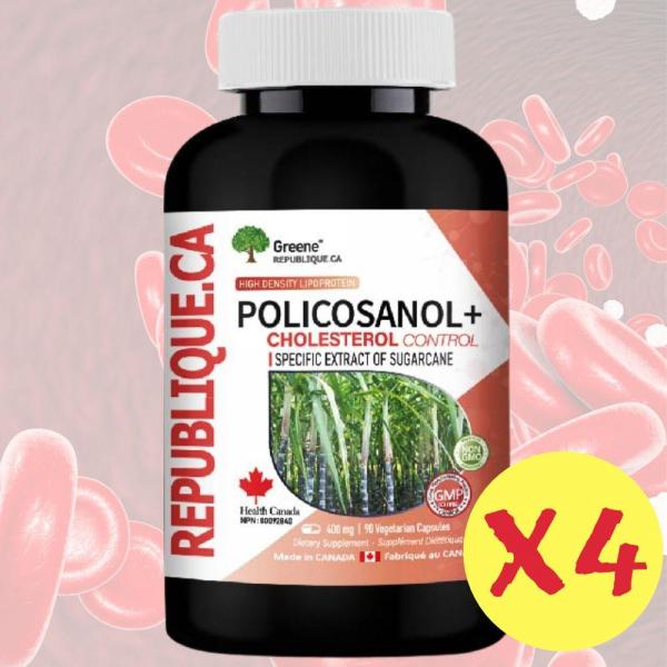 캐나다 그린리퍼블릭 폴리코사놀 400mg 식물성 90캡슐X4 쿠바산 고함량 사탕수수왁스 알코올 12개월분 - 상세 이미지 2