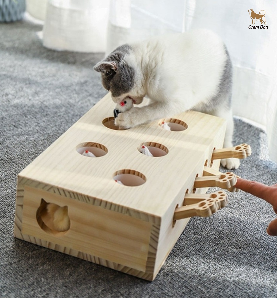 고양이 원목 장난감 두더지 사냥놀이 노즈워크 캣토이 5구