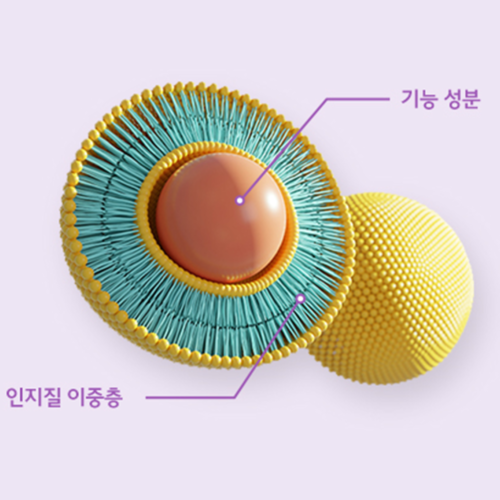 경남제약 리포좀 글루타치온 900mg x2박스 2개월 인지질 이중층 리포조말 효모추출물 - 상세 이미지 2