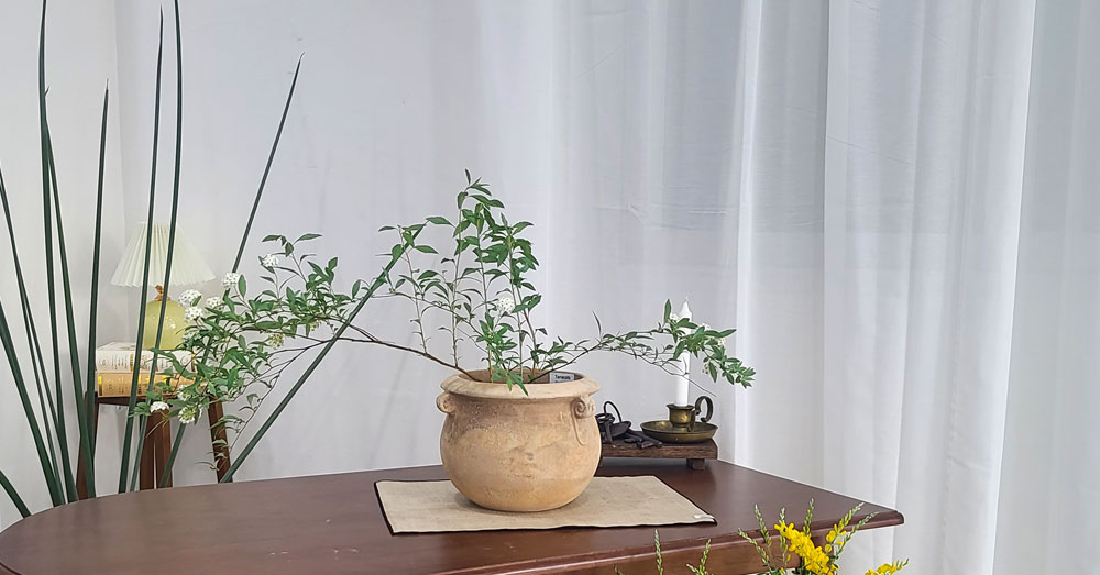테라원 빈티지 아쿠아 토분 HN30404 18x19cm 고리단지 - 상세 이미지 3