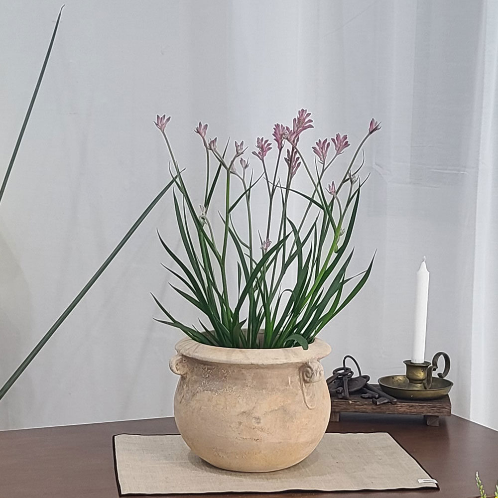 테라원 빈티지 아쿠아 토분 HN30404 18x19cm 고리단지 - 메인 이미지