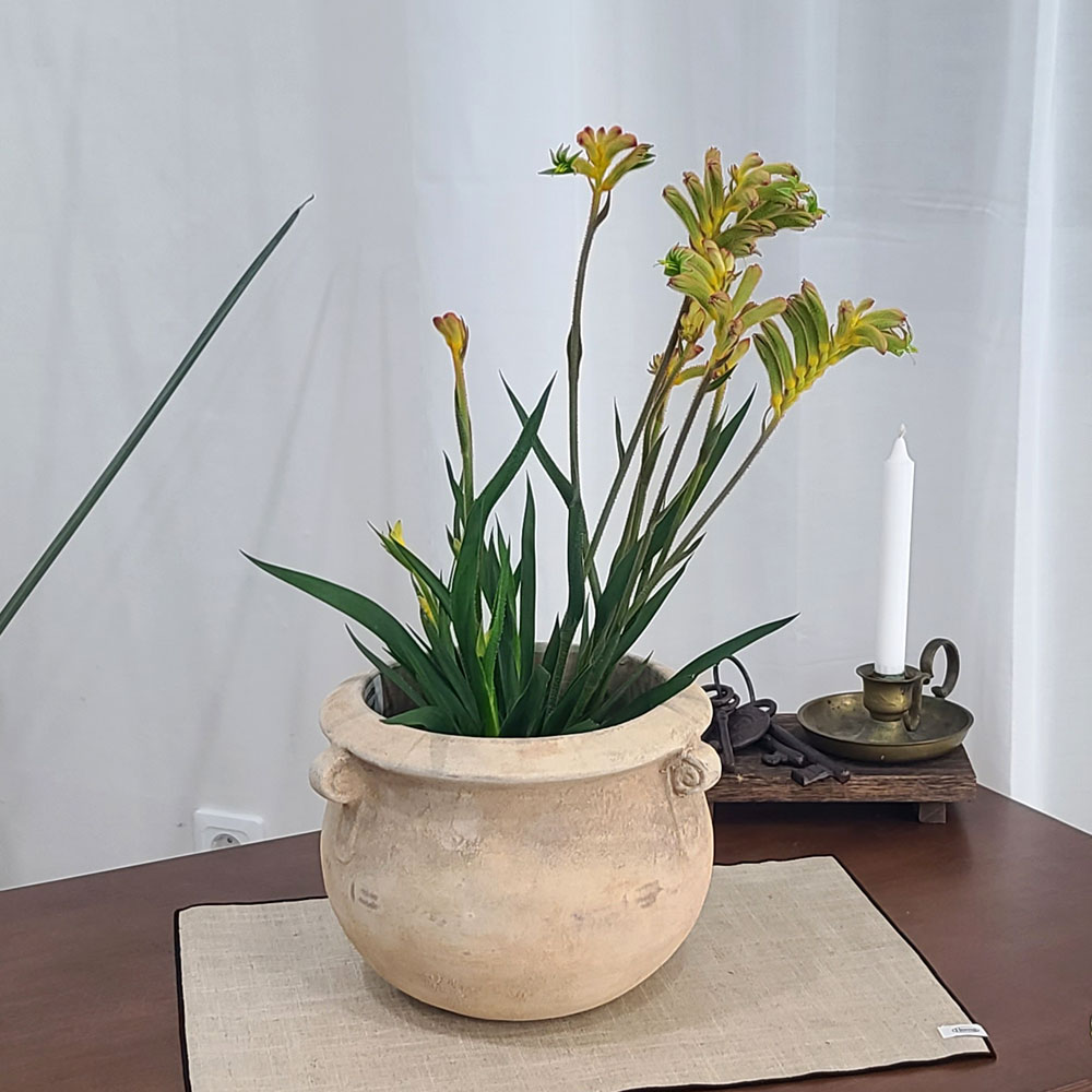 테라원 빈티지 아쿠아 토분 HN30404 18x19cm 고리단지 이미지 6