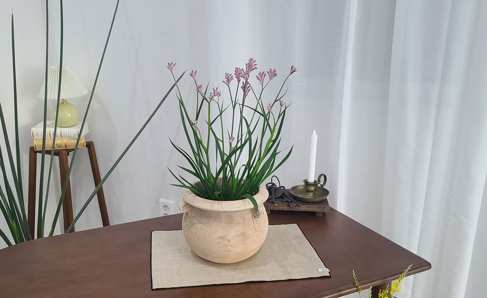 테라원 빈티지 아쿠아 토분 HN30404 18x19cm 고리단지 - 상세 이미지 2