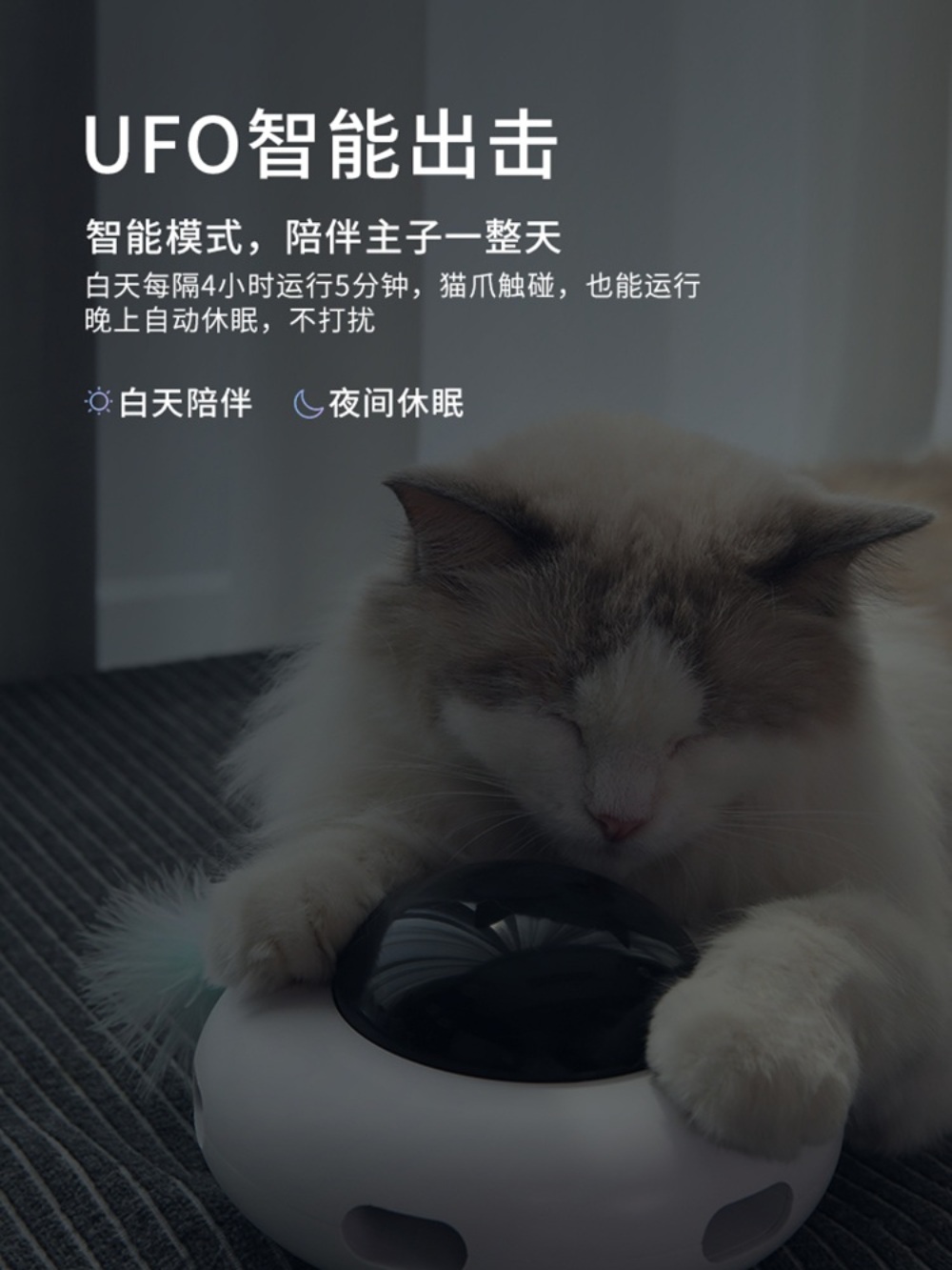 움직이는고양이 장난감 자동 깃털 잡기 사냥놀이 꼬리잡기 토이 캣 - 상세 이미지 5