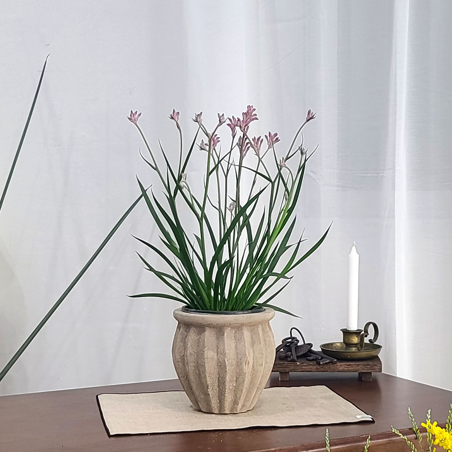 테라원 빈티지 아쿠아 토분 HN30407 14x18cm 플리츠단지 - 메인 이미지