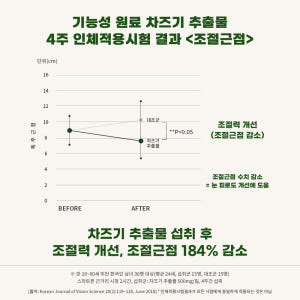 뉴트립 눈엔 차즈기 루테올린 차즈기추출물 500mg 30정, 1개 맛있게 먹은 솔직 후기 - 상품 이미지 3