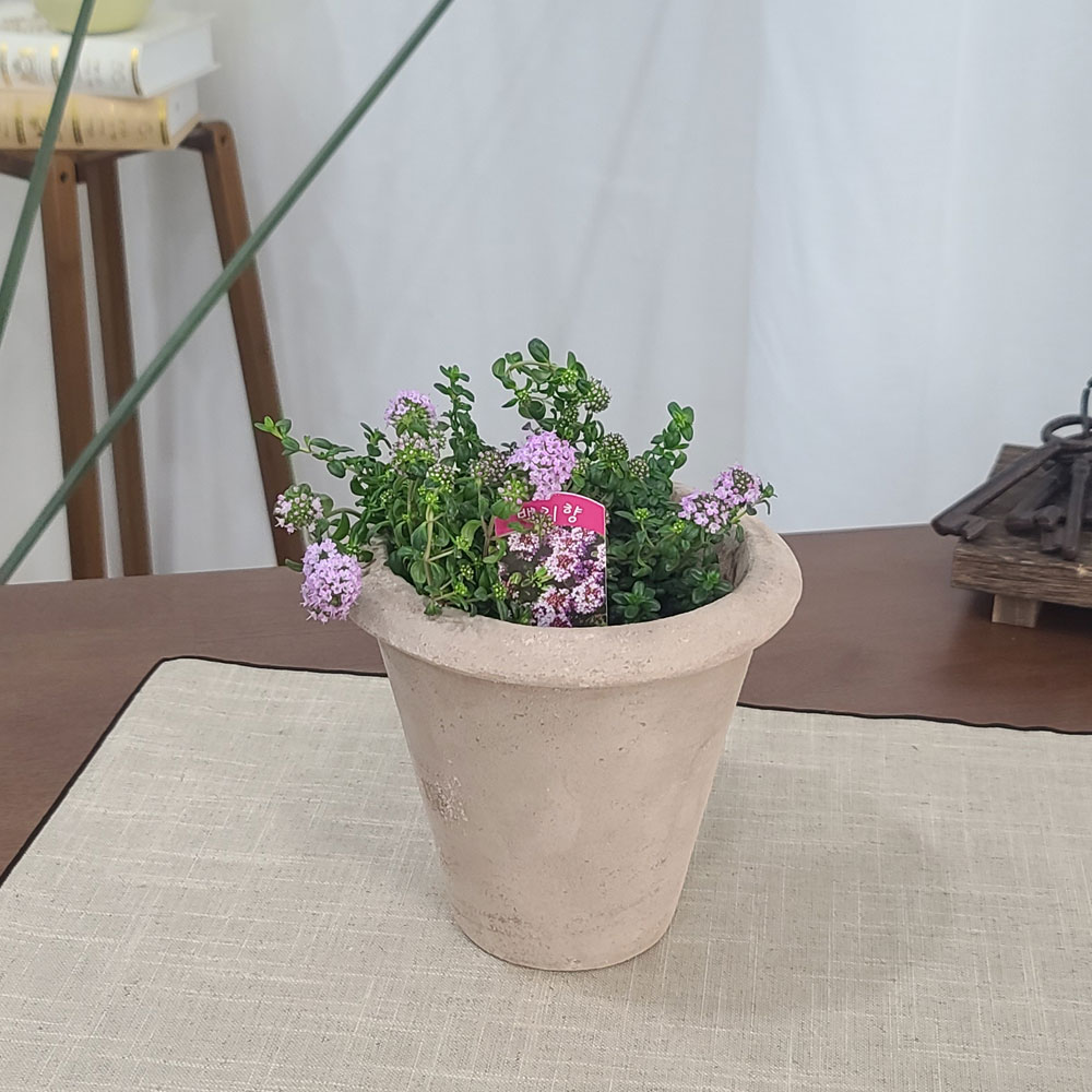 테라원 빈티지 아쿠아 토분 HN30415 13x15cm 콘 - 메인 이미지