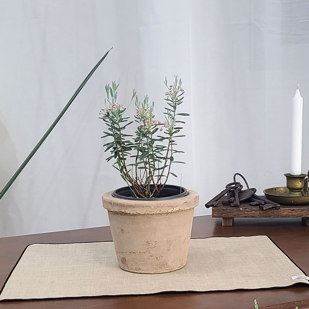 테라원 빈티지 아쿠아 토분 HN30416 12x12cm 로워팟 - 상세 이미지 5