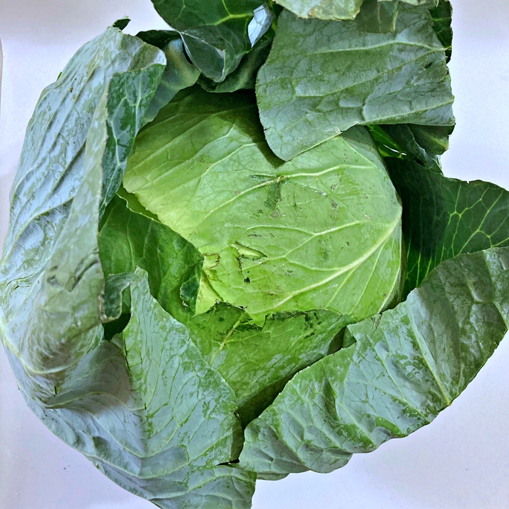 양배추 1통 3통 1.5kg 4.5kg 국내산 - 상품 이미지