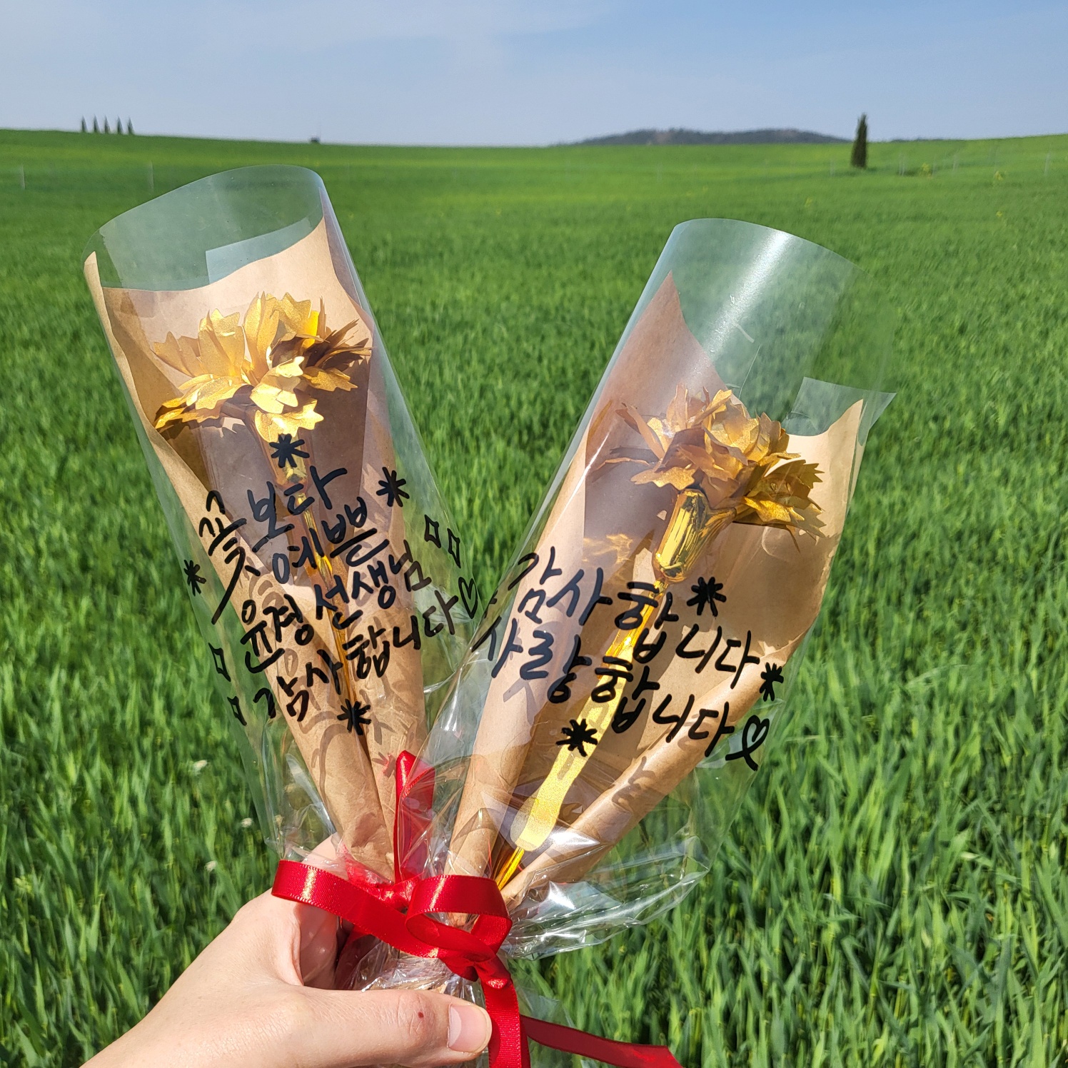 금꽃 금 골드 카네이션 어버이날 스승의날 기념일 한송이 레터링 카네이션 꽃 선물 꽃다발