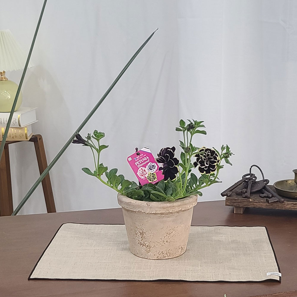 테라원 빈티지 아쿠아 토분 HN30416 12x12cm 로워팟 - 상세 이미지 4