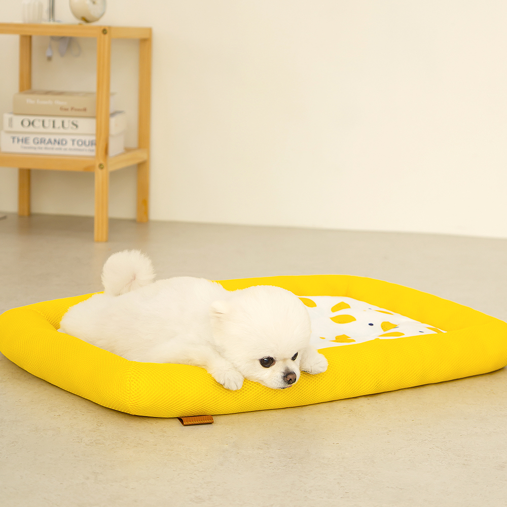 레토 강아지 방석 쿨매트 고양이 쿠션