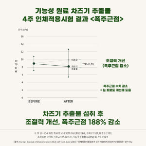 뉴트립 눈엔 차즈기 루테올린 차즈기추출물 500mg 30정, 1개 맛있게 먹은 솔직 후기 - 상품 이미지 4