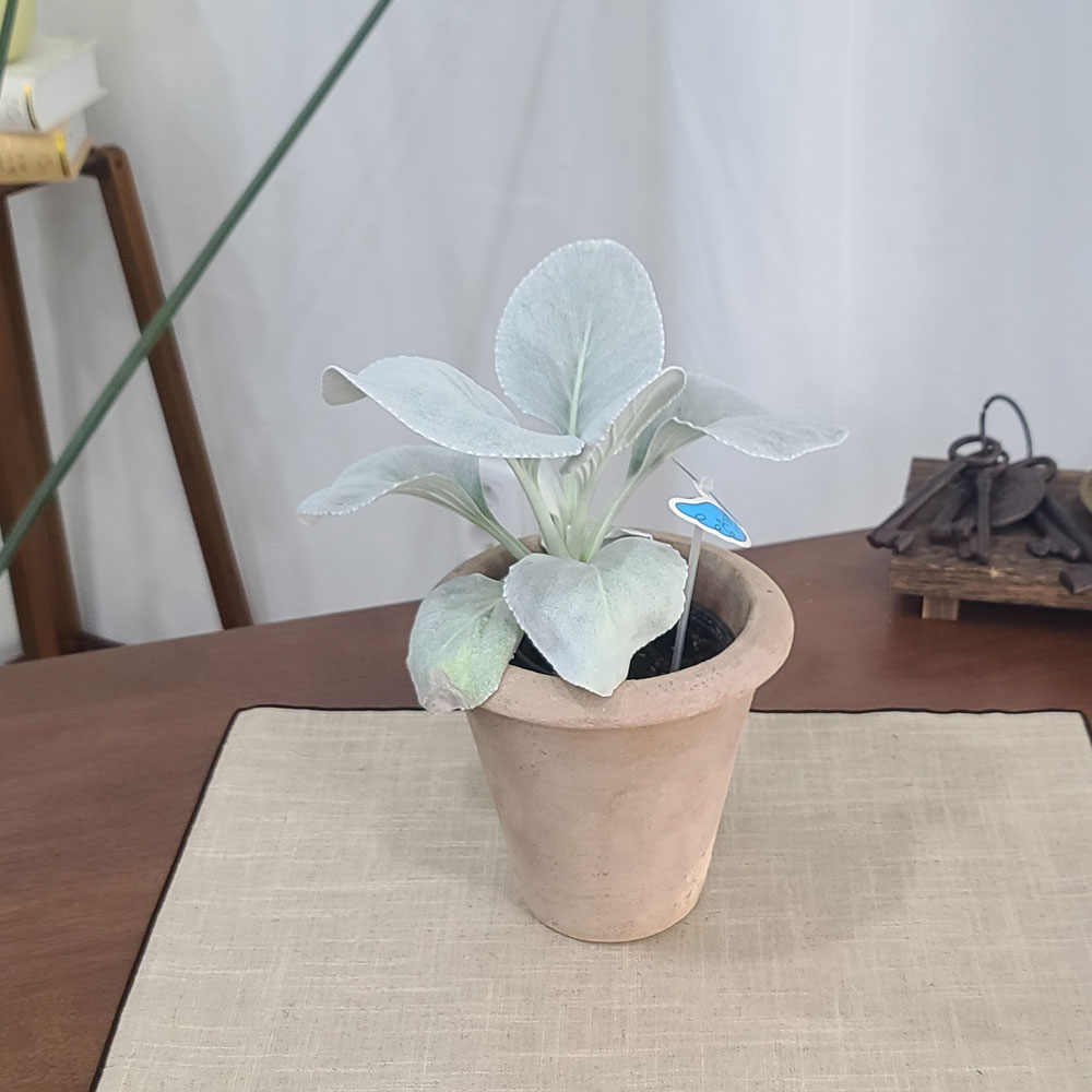 테라원 빈티지 아쿠아 토분 HN30415 13x15cm 콘 - 상세 이미지 4