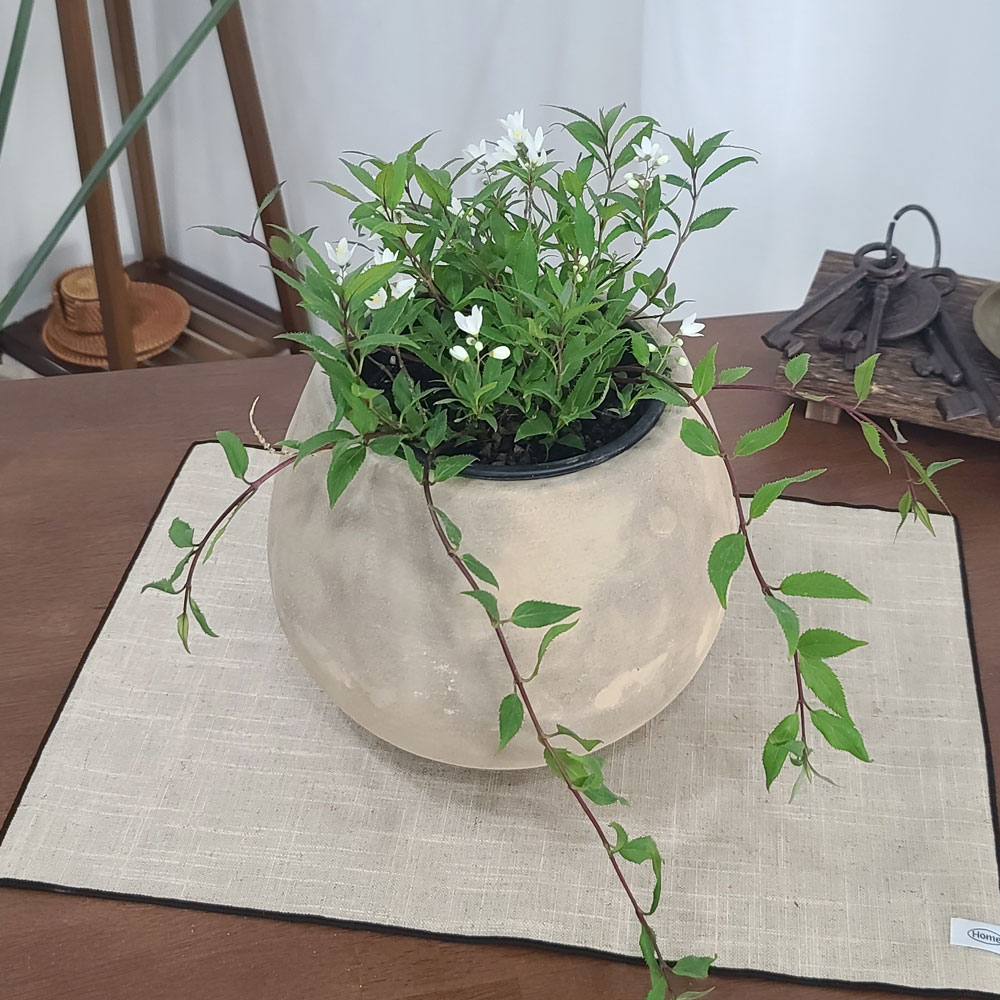 테라원 빈티지 아쿠아 토분 HN30405 14x18cm 롱에그 - 상세 이미지 4