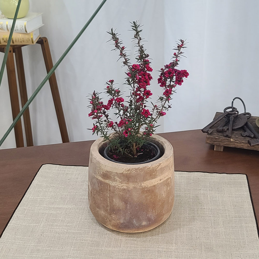 테라원 빈티지 아쿠아 토분 HN30414 12x14cm 미니Jar - 메인 이미지