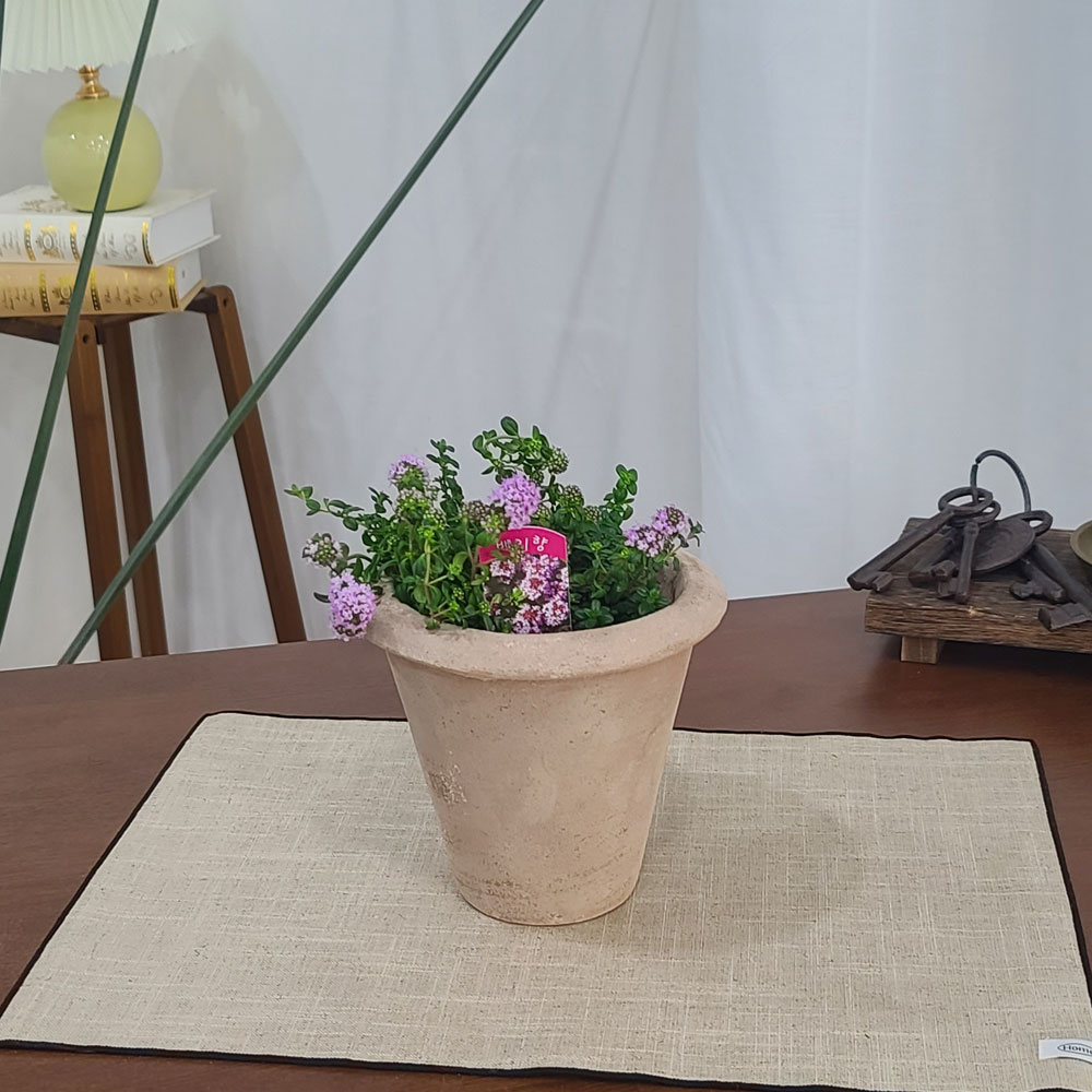 테라원 빈티지 아쿠아 토분 HN30415 13x15cm 콘 - 상세 이미지 3