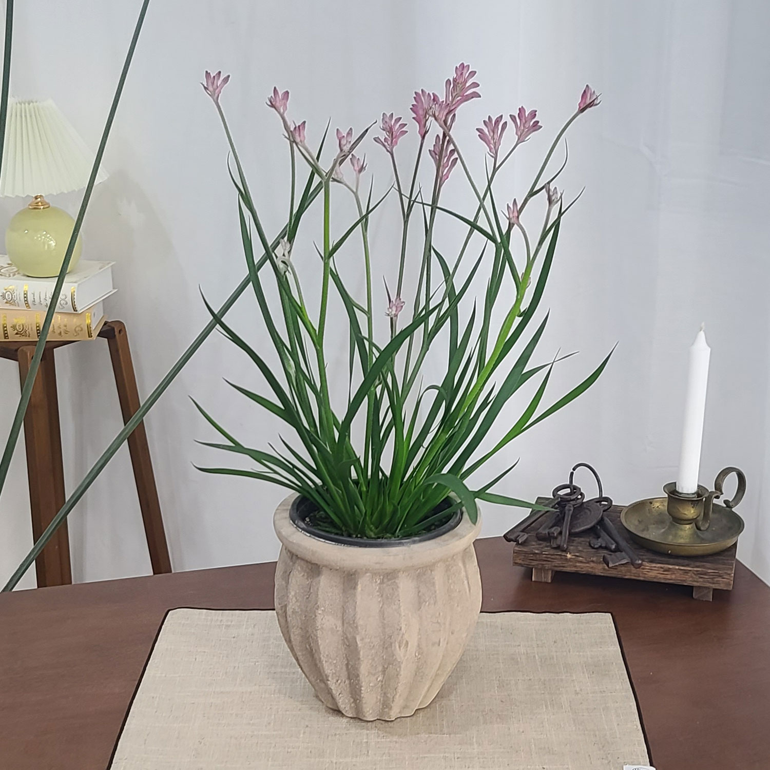 테라원 빈티지 아쿠아 토분 HN30407 14x18cm 플리츠단지 - 상세 이미지 2