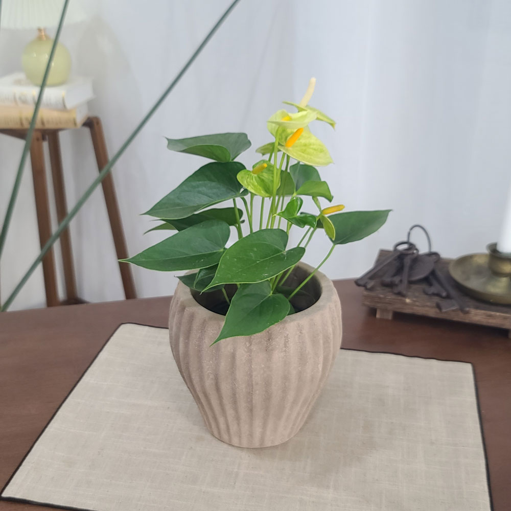 테라원 빈티지 아쿠아 토분 HN30412 13x16cm 엘도르 - 상세 이미지 3
