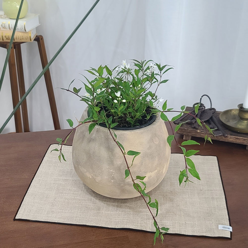 테라원 빈티지 아쿠아 토분 HN30405 14x18cm 롱에그 - 상세 이미지 5