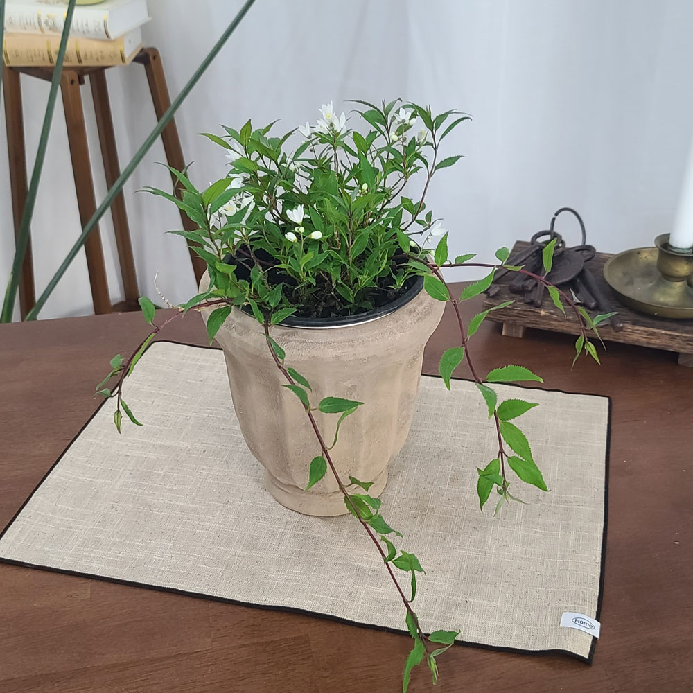 테라원 빈티지 아쿠아 토분 HN30409 14x20cm 롱플리츠 - 상세 이미지 3