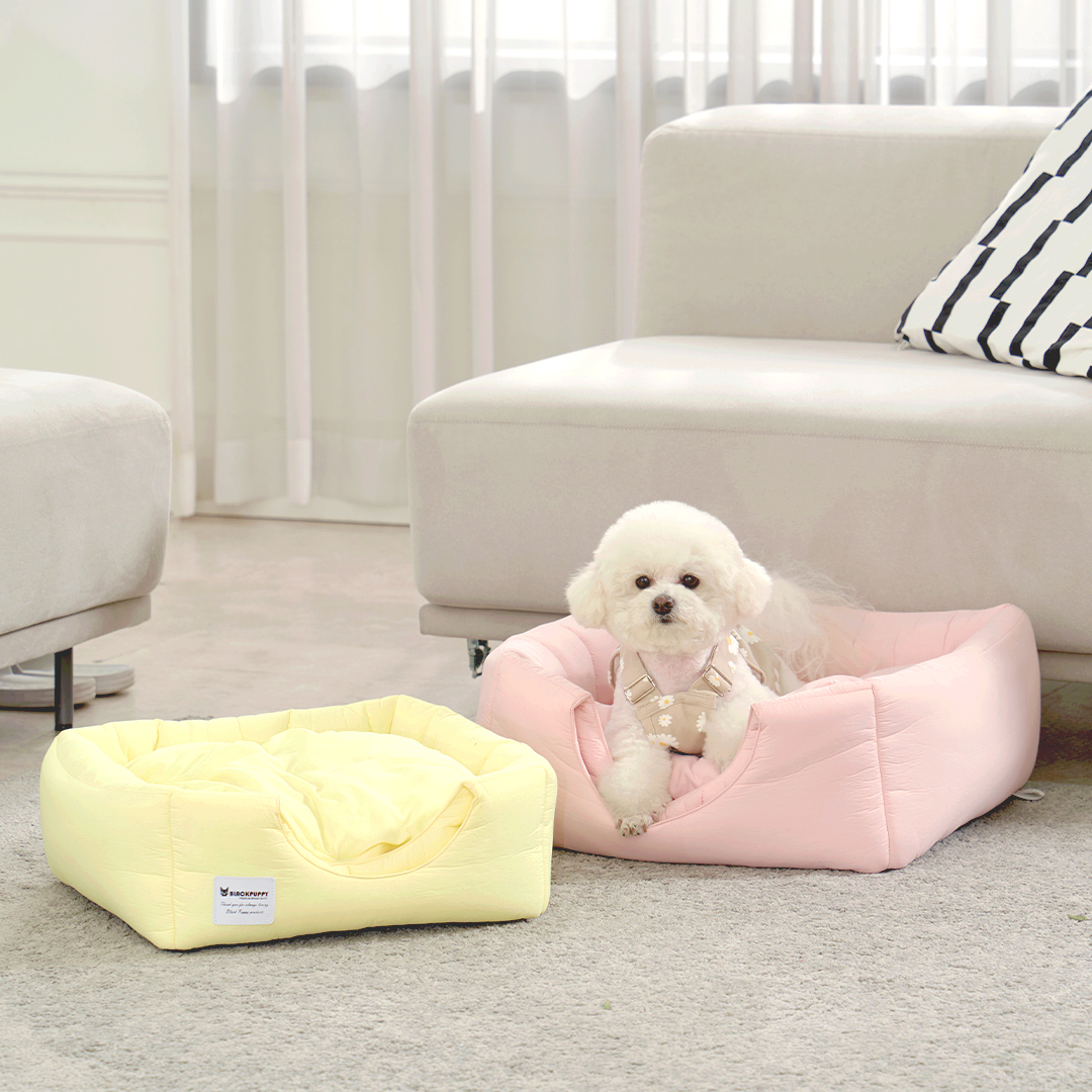 개과천선 워티 강아지 하우스 집 생활방수 동굴 텐트 애견 침대 고양이 숨숨집