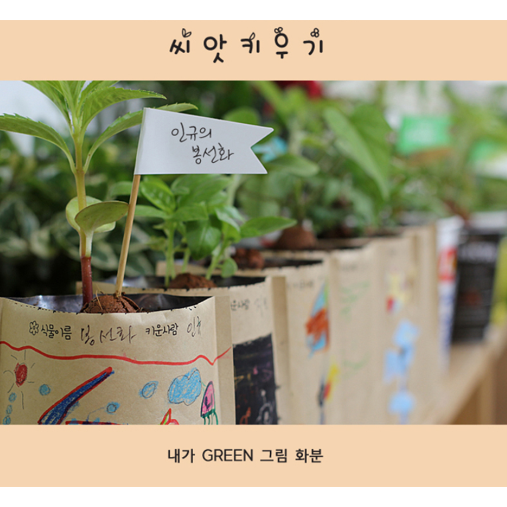 꽃씨심기 허브키우기 바질 식목일 그림봉투 종이화분 씨앗키트 - 상세 이미지 2