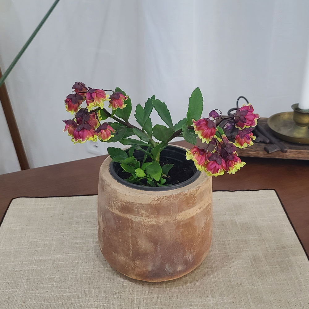 테라원 빈티지 아쿠아 토분 HN30414 12x14cm 미니Jar - 상세 이미지 4