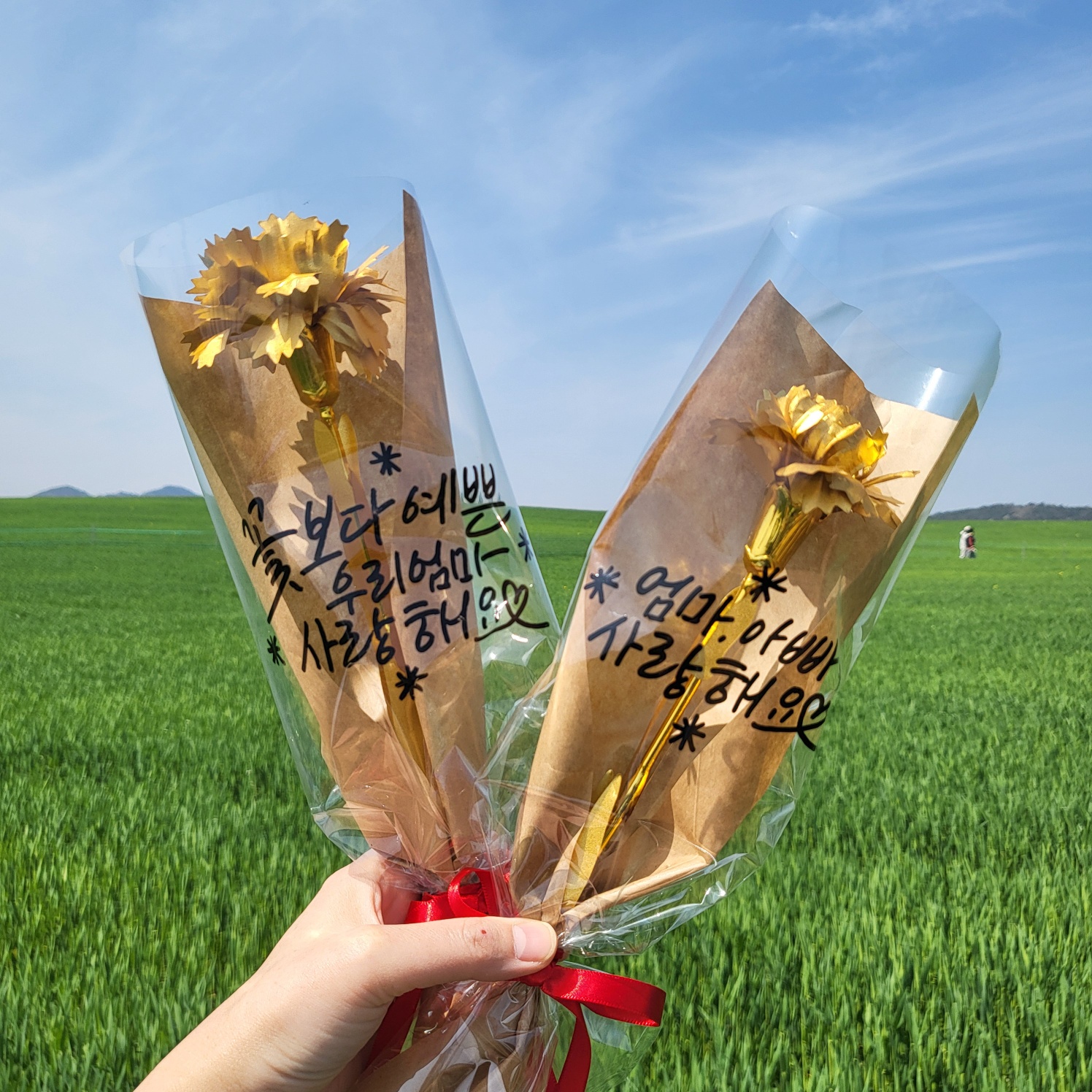 금꽃 금 골드 카네이션 어버이날 스승의날 기념일 한송이 레터링 카네이션 꽃 선물 꽃다발