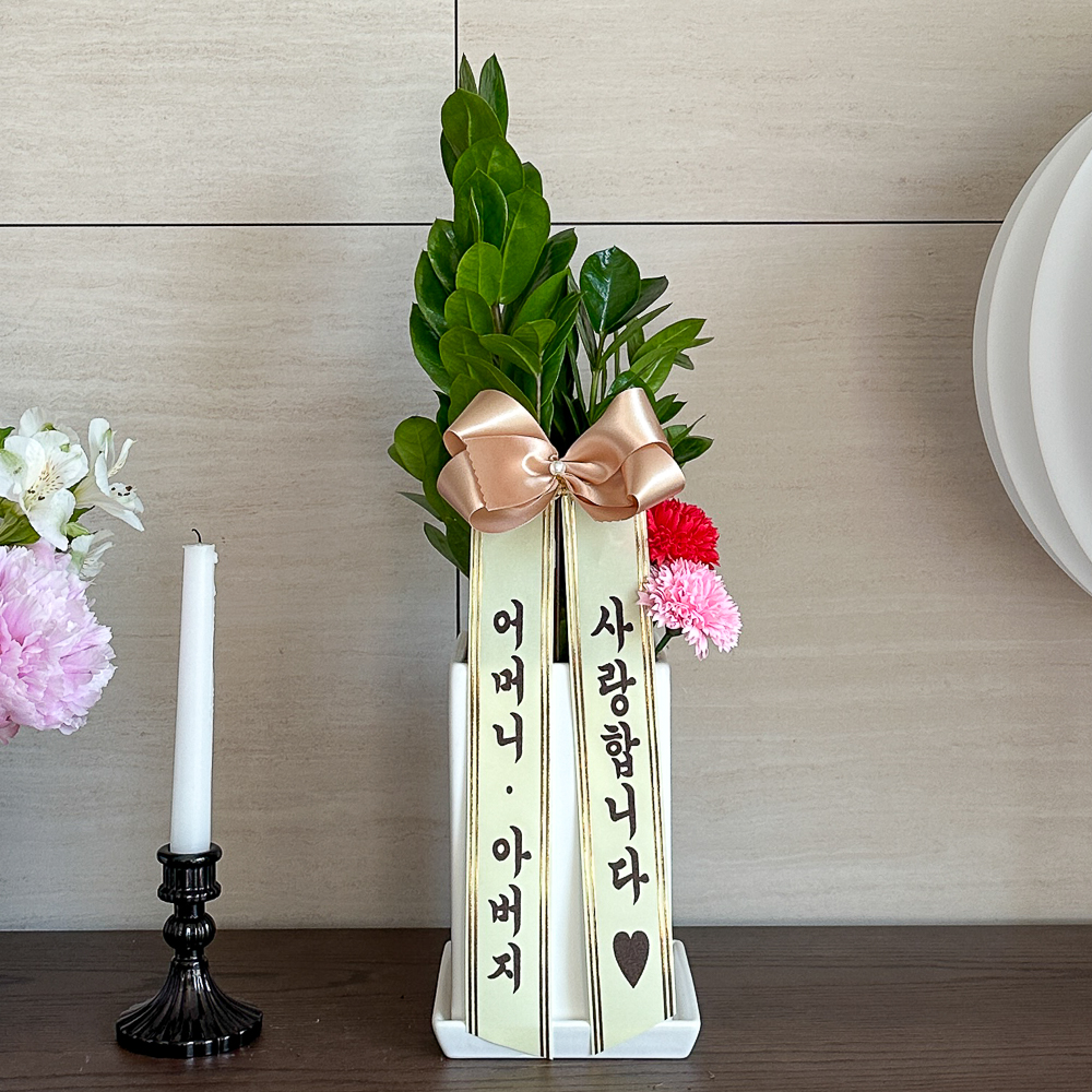 금전수 어버이날 카네이션 생화 비누꽃 화분 배달 꽃다발 꽃바구니 스승의날 선물