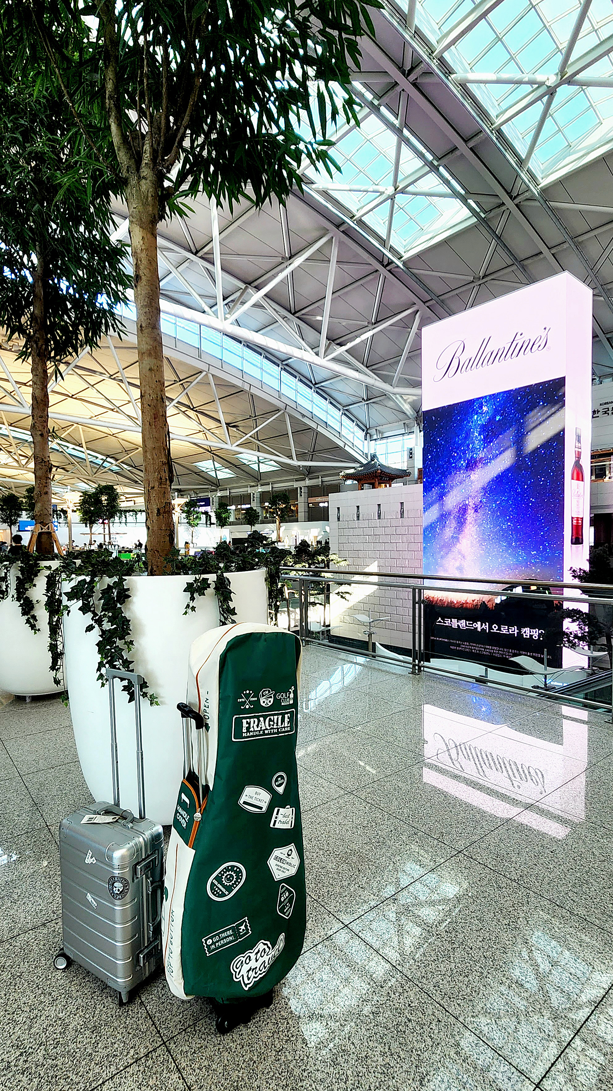 컬러홀릭 골프백 항공커버 골프 여행용 씌우는 항공백커버