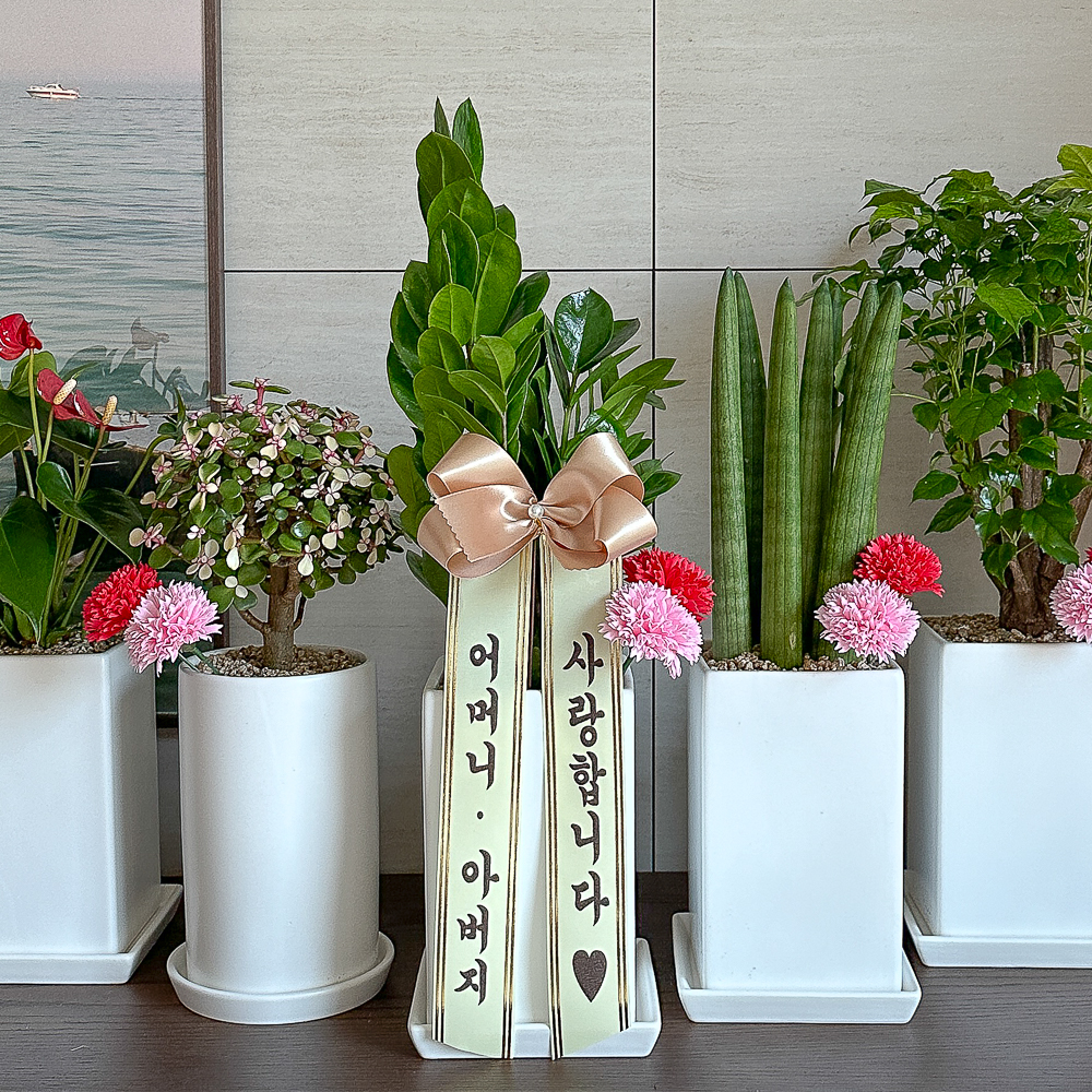 어버이날 스승의날 카네이션 화분 배달 꽃다발 꽃바구니 비누꽃 선물