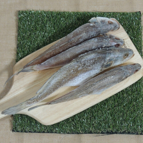 삼천포 용궁수산시장 반건조 참조기 민어조기 조기 : 자연한끼
