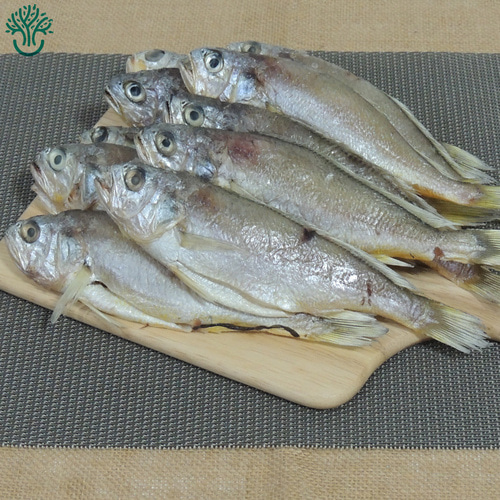 삼천포 용궁수산시장 반건조 참조기 민어조기 조기 - 상세 이미지 3