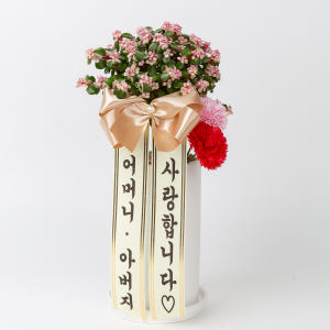 어버이날 스승의날 카네이션 화분 배달 꽃다발 꽃바구니 비누꽃 선물 솔직 후기 | 실사용자 리뷰 분석 - 상품 이미지 3