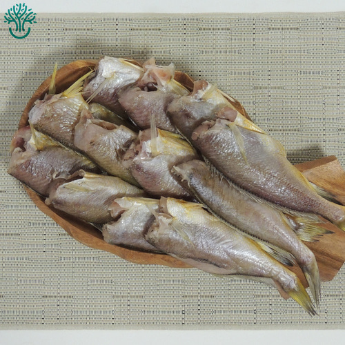 삼천포 용궁수산시장 반건조 참조기 민어조기 조기 - 상세 이미지 4