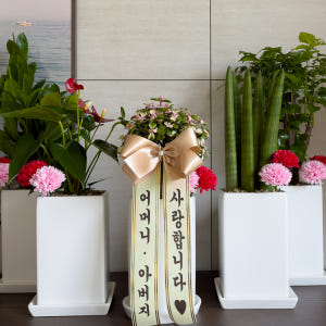 어버이날 스승의날 카네이션 화분 배달 꽃다발 꽃바구니 비누꽃 선물 솔직 후기 | 실사용자 리뷰 분석 - 상품 이미지 2