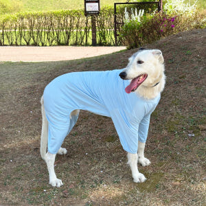 강아지 올인원 쿨링 실내복 중형견 대형견옷 여름옷 해충방지 솔직 후기 | 실제 사용자 리뷰 총정리 - 상품 이미지 1