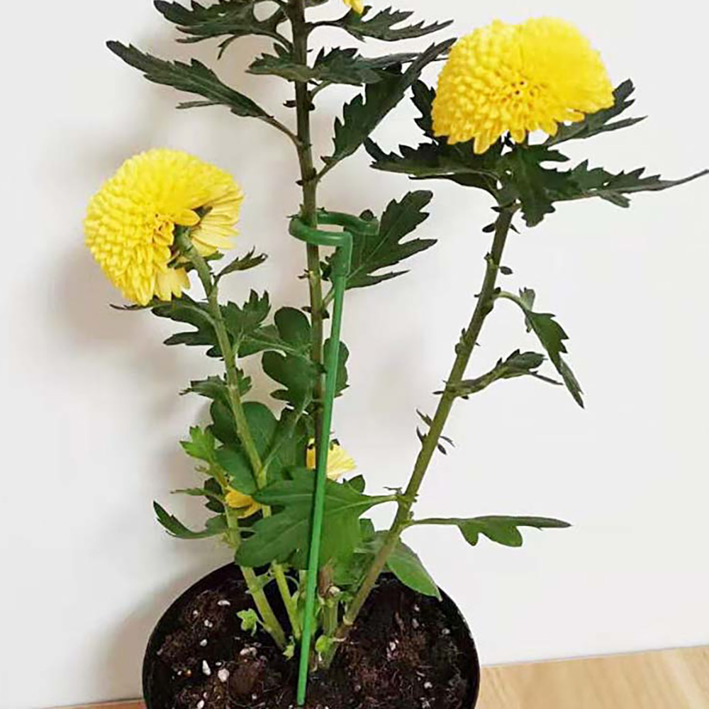 방울토마토지지대 분재용철사 완두콩지지대 10개 수목 화초 고추 이미지 7