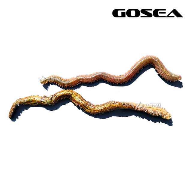 GOSEA 동결건조 홍 갯지렁이 홍개비 지렁이 낚시 미끼 GSF-L1-H - 상세 이미지 5
