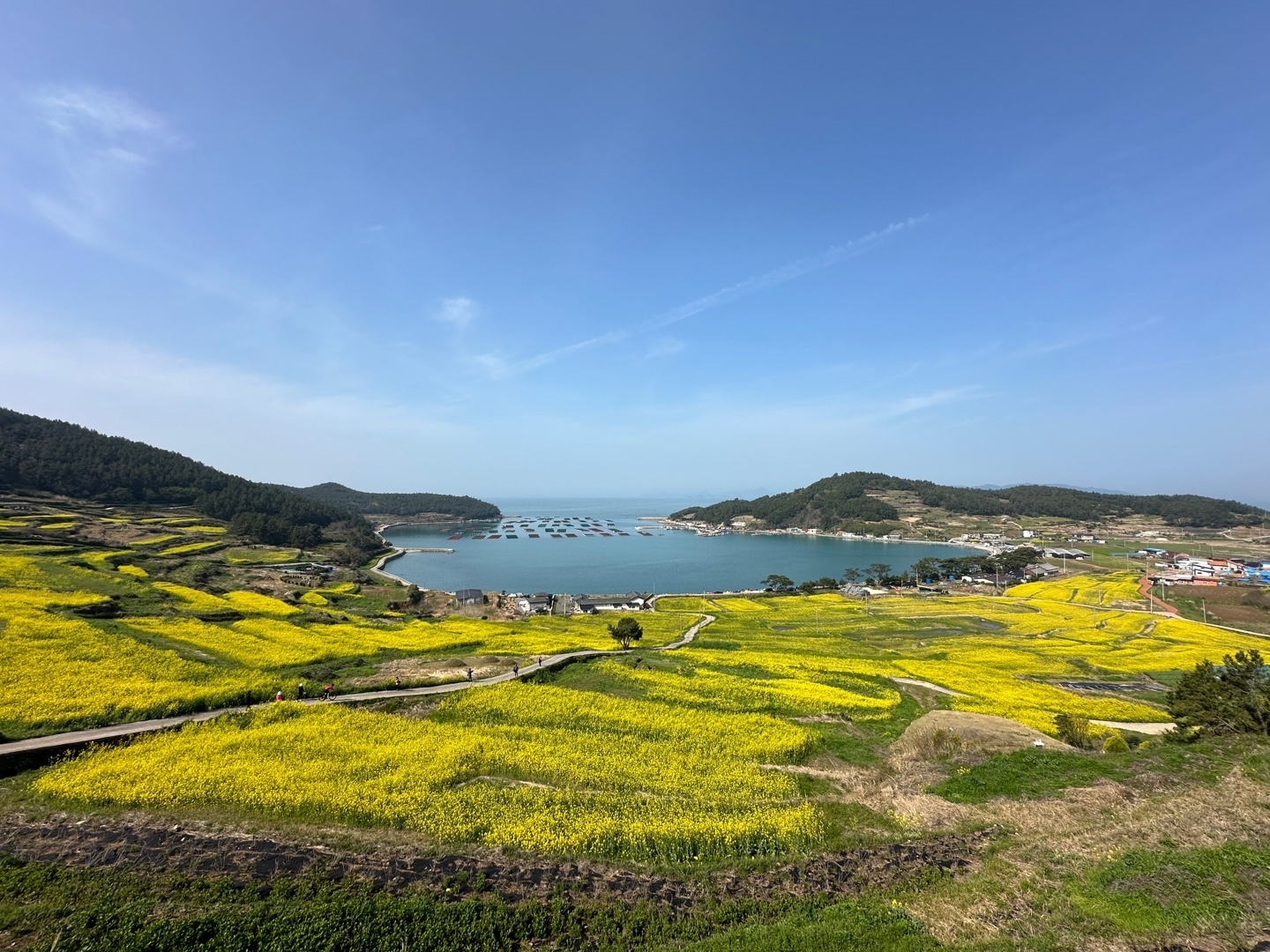 KTX 남도 진수성찬 강진가우도 청산도 1박 2일 기차여행 패키지 뚜벅이 버스 백련사 4식 제공 - 상세 이미지 2