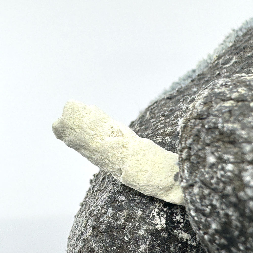 뱀이싹 800g 뱀 기피제 뱀 퇴치 방법 백반 쫓는 못오게하는 약 - 상세 이미지 3