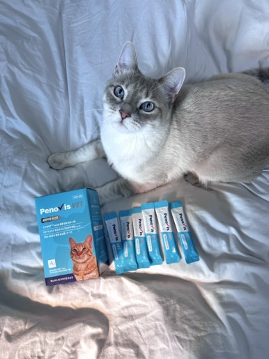 고양이유산균 페노비스 변비 설사 면역력 임상원료 신장영양제 30포, 1개